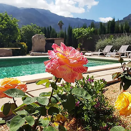 Toniet Holiday home Soller